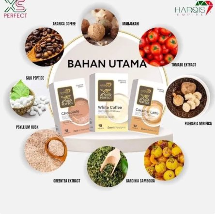 Bahan utama XS Perfect Drinks
